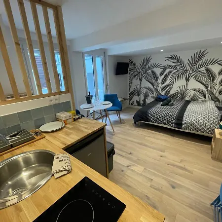 Un Coin De Detente - Magnifique Studio Balneo - 122 *